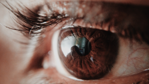 retina